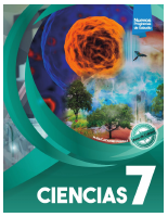 7 Porras.pdf